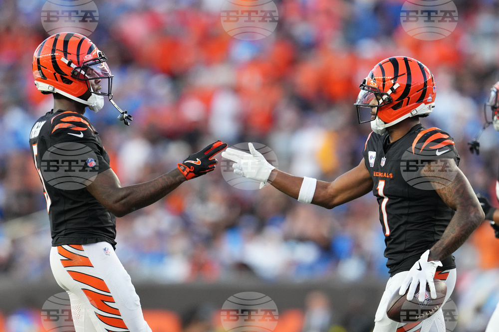 Lions Bengals Football