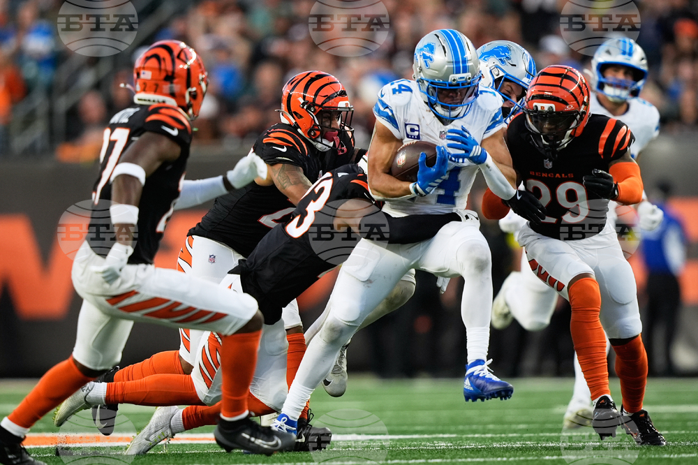 Lions Bengals Football