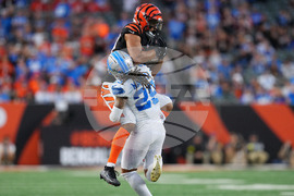 Lions Bengals Football