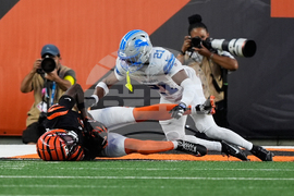 Lions Bengals Football