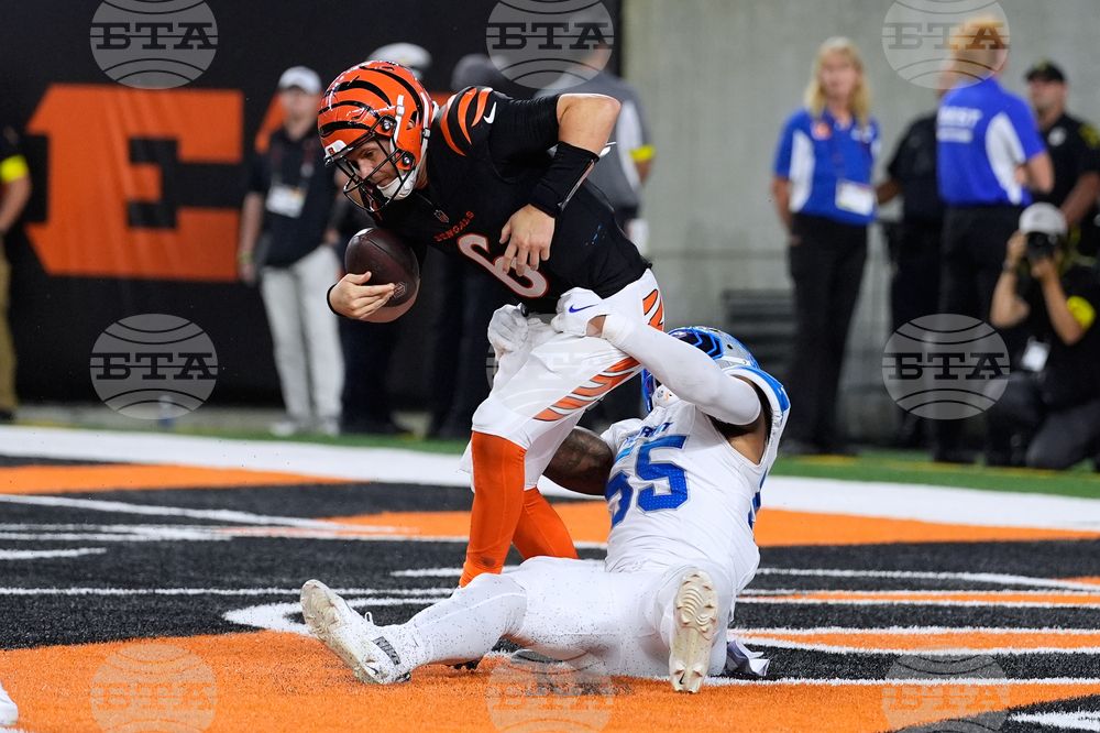 Lions Bengals Football