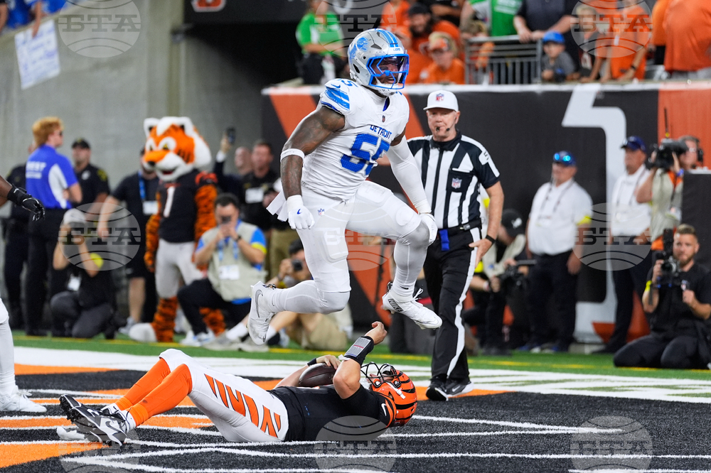 Lions Bengals Football