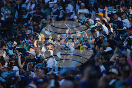 ALDS Tigers Mariners Baseball