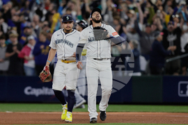 ALDS Tigers Mariners Baseball