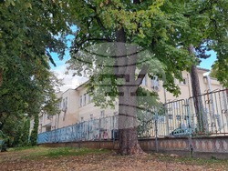 Враца - Безплатни прегледи за рак на гърдата