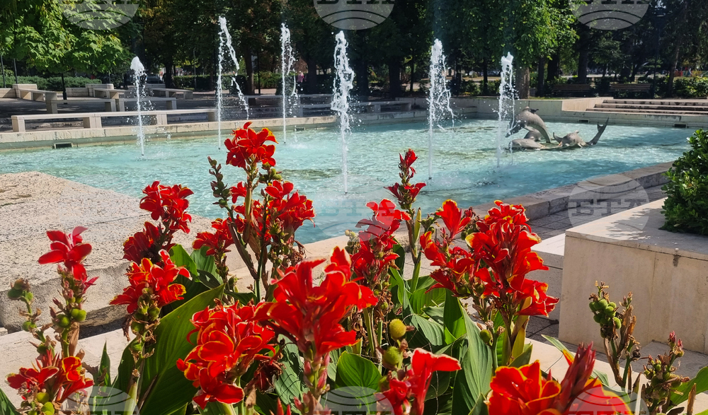 Отчет за изпълнението на общинския бюджет и средствата от Европейския съюз за първото полугодие ще гласуват съветниците в Търговище