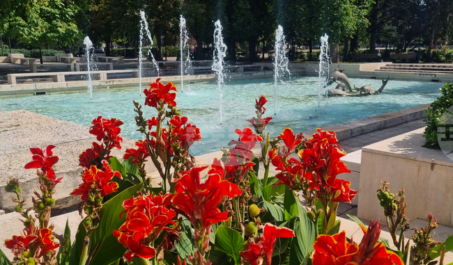 Отчет за изпълнението на общинския бюджет и средствата от Европейския съюз за първото полугодие ще гласуват съветниците в Търговище