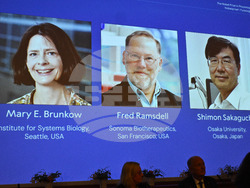 APTOPIX Nobel Medicine