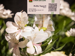 Снимка: Община Стара Загора