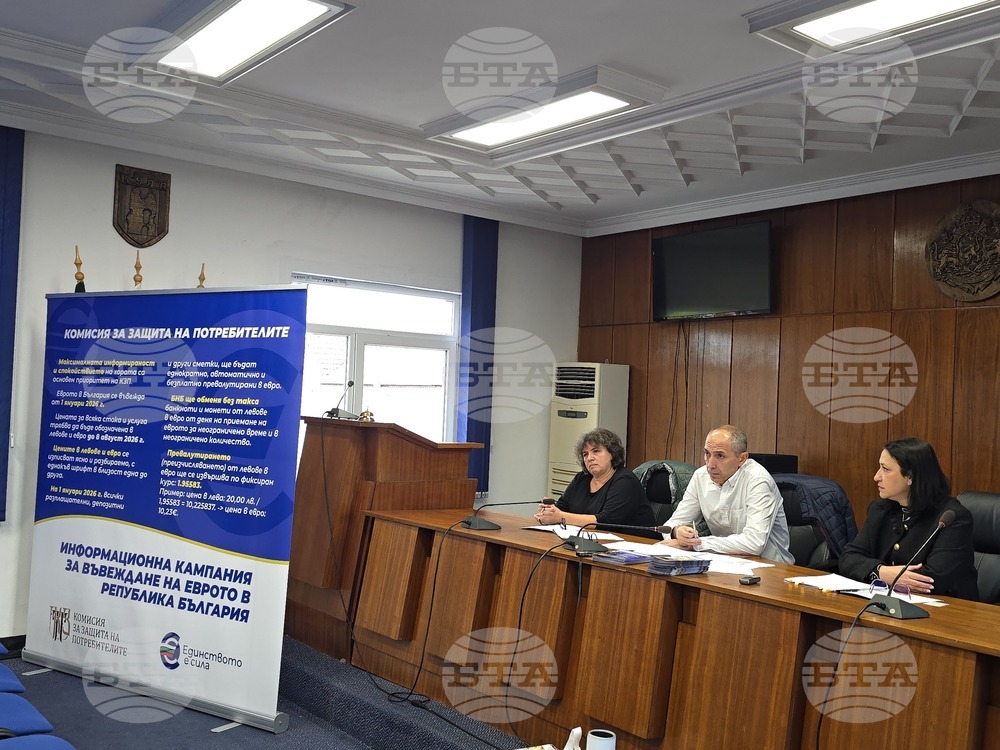 Кула - информационна среща за еврото