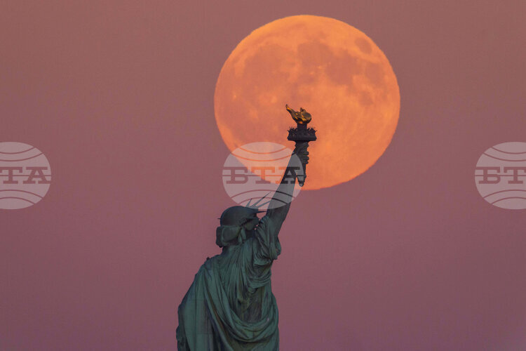 Bulgaria Rated Free in Freedom Survey for 2025, Global Freedom Declines