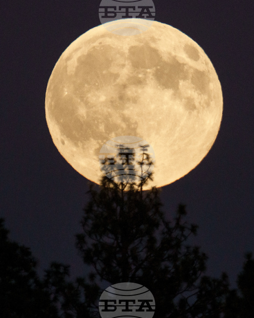 Full Harvest Super Moon