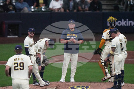 NLDS Cubs Brewers Baseball