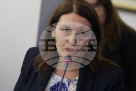 Българска стопанска камара - "Изкуственият интелект: тенденции, регулации и сценарии за развитие" - работна дискусия