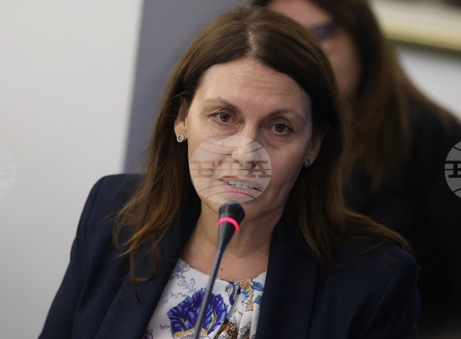 Министерството на електронното управление действа проактивно за въвеждане на Акта за изкуствен интелект, обяви Мария Цонева от ведомството на форум