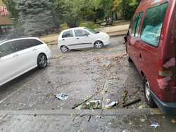 Сливен, паднало дърво, автомобили, щети, снимка:Велина Василева