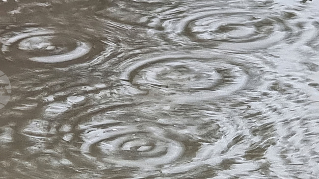 Най-значителни количества валежи в област Смолян са отчетени в девинското село Триград – 80 литра на квадратен метър