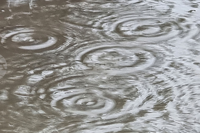 Най-значителни количества валежи в област Смолян са отчетени в девинското село Триград – 80 литра на квадратен метър