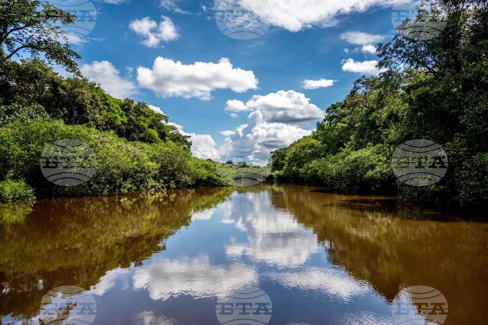 Тропическите водни басейни отделят много по-малко парникови газове от очакваното, показа проучване
