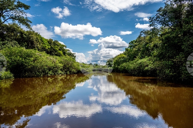 Тропическите водни басейни отделят много по-малко парникови газове от очакваното, показа проучване