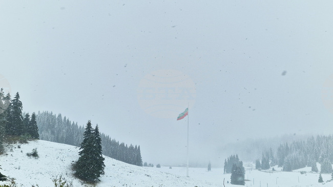 Бедствено положение обяви община Смолян заради паднали дървета, откъснати села и силен вятър