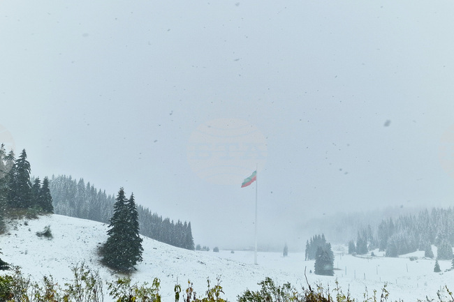Бедствено положение обяви община Смолян заради паднали дървета, откъснати села и силен вятър