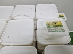 Село Печеница - семейно стопанство - Избирам България