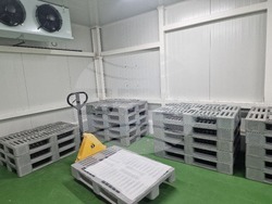 Село Печеница - семейно стопанство - Избирам България