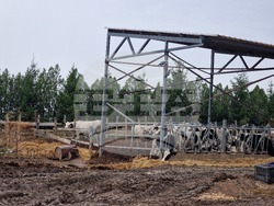 Село Печеница - семейно стопанство - Избирам България