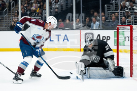 Avalanche Kings Hockey