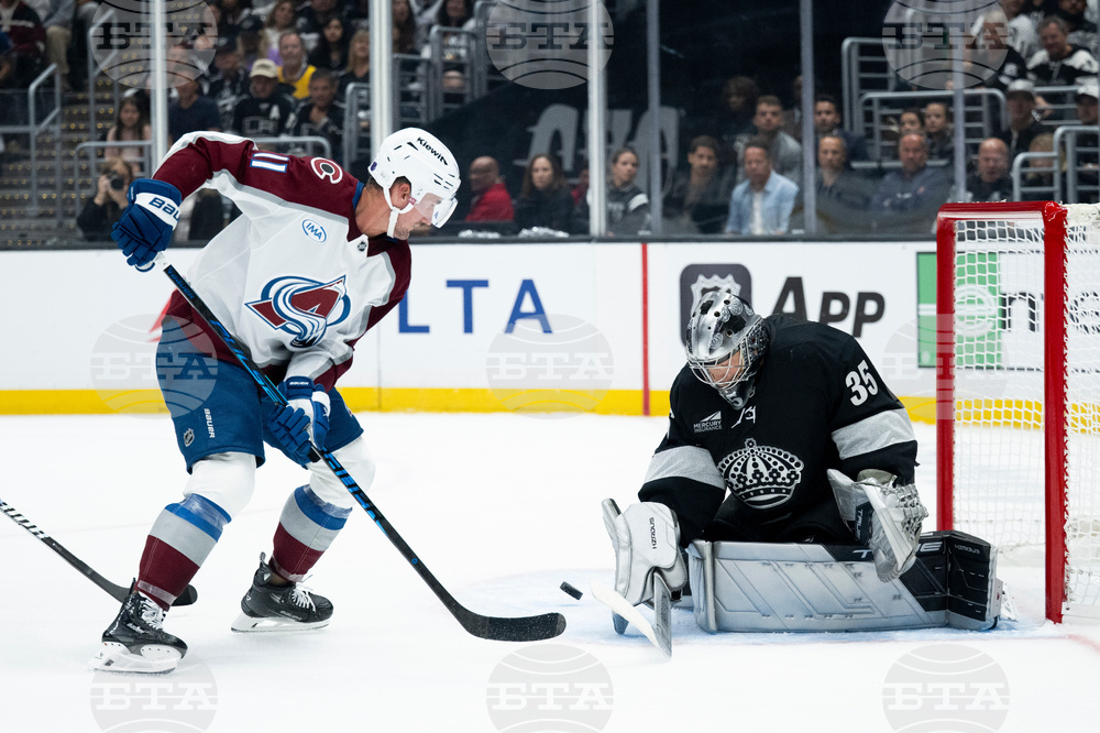 Avalanche Kings Hockey