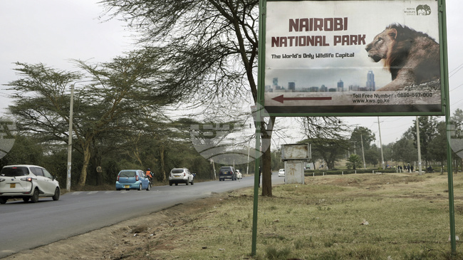 Кенийска авиокомпания съобщи, че в самолета, който се разби, са пътували осем унгарци и двама германци 