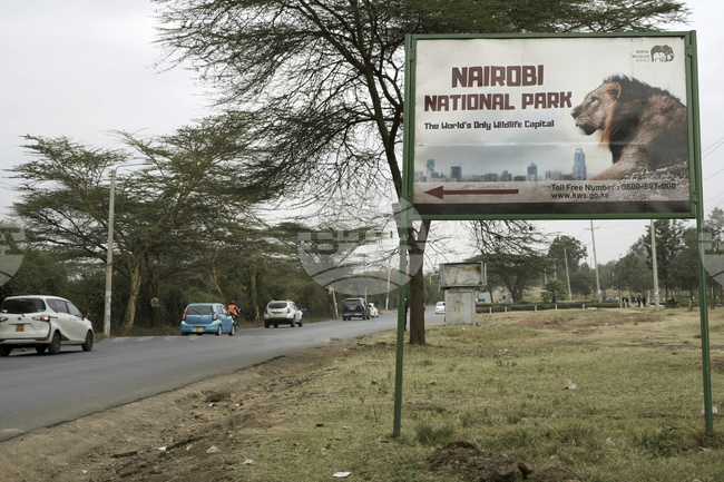 Кенийска авиокомпания съобщи, че в самолета, който се разби, са пътували осем унгарци и двама германци 