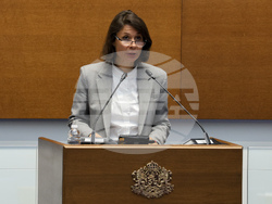 Народно събрание - заседание