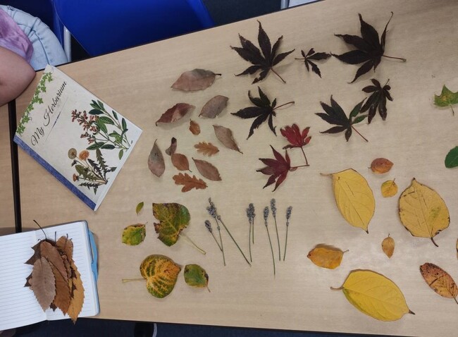 Кръжок, посветена на есента, се състоя в училище „Д-р Петър Берон“ в Рединг