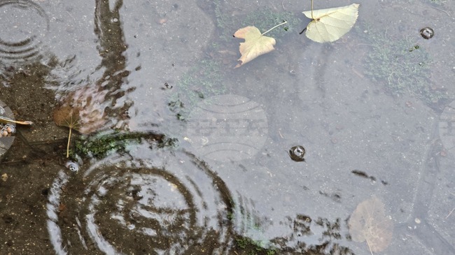 Ситуацията в община Петрич се нормализира след падналия проливен дъжд