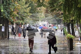 Ловеч - дъжд - количества