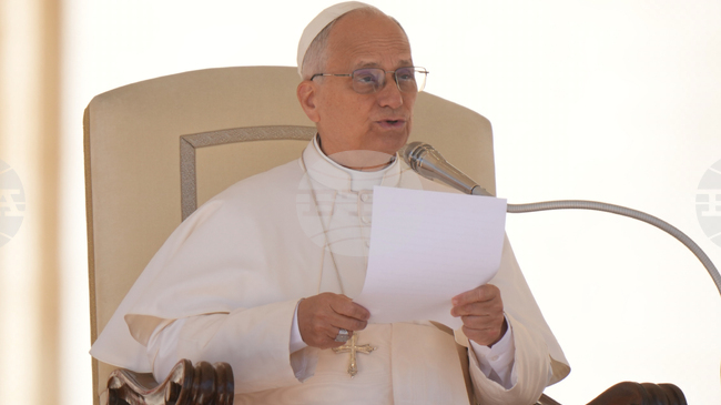 Pope Leo XIV Urges Support for Professionals and News Agencies