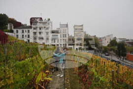 France Montmartre
