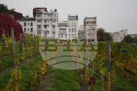 France Montmartre