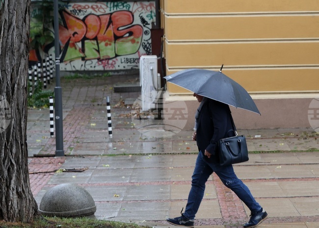 3.765 Mln Working Age People in Bulgaria at End-2024, National Statistical Institute Deputy Chair Says