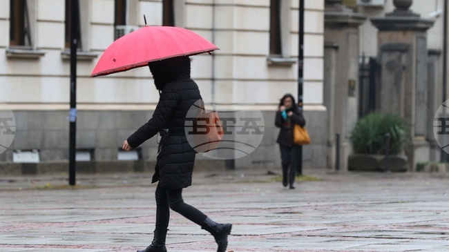 Experts Discuss Labour Market Changes, Demographic Crisis