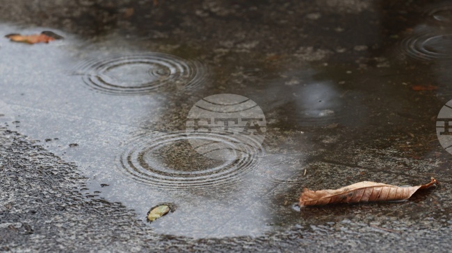 Прогноза за времето