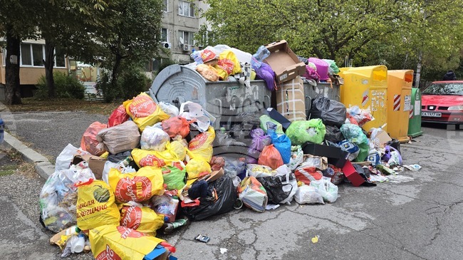 State Offers Sofia Municipality Assistance in Tackling Waste Crisis, Sofianites Step up to Help