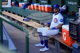 NLDS Brewers Cubs Baseball