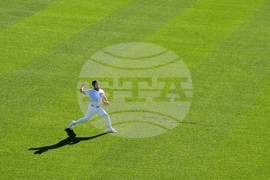 NLDS Brewers Cubs Baseball