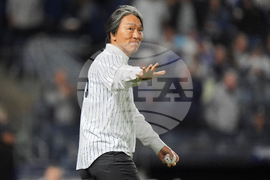 ALDS Blue Jays Yankees Baseball