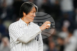 ALDS Blue Jays Yankees Baseball