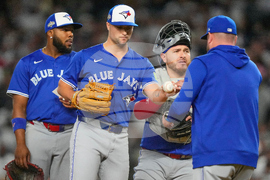 ALDS Blue Jays Yankees Baseball