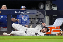 ALDS Blue Jays Yankees Baseball